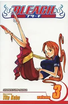 Bleach, Volume 3 - Tite Kubo