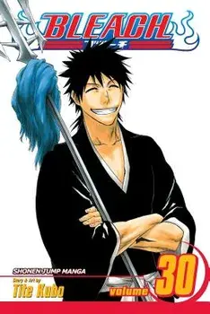 Bleach, Volume 30: There Is No Heart Without You, Paperback/Tite Kubo