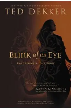 Blink of an Eye - Ted Dekker