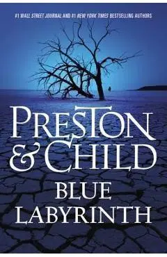 Blue Labyrinth - Douglas Preston