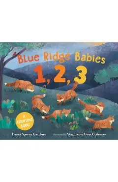 Blue Ridge Babies 1, 2, 3: A Counting Book - Laura Sperry Gardner