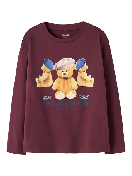 Bluza Nkfryccas Ls Nreg Top