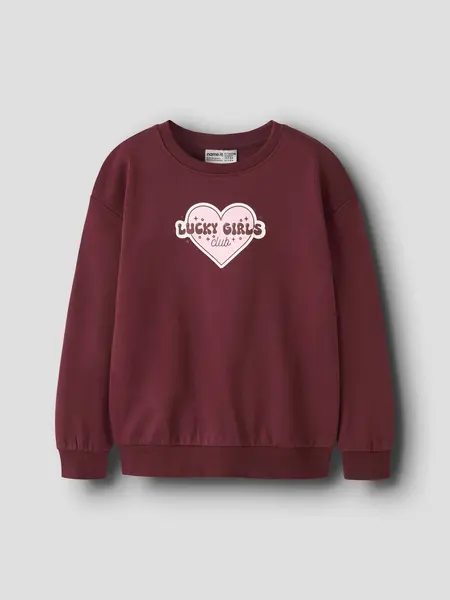Bluza Nkfviloui Ls Rlx Sweat Bru