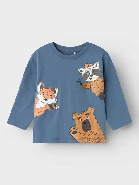 Bluza Nmmotis Nreg Box