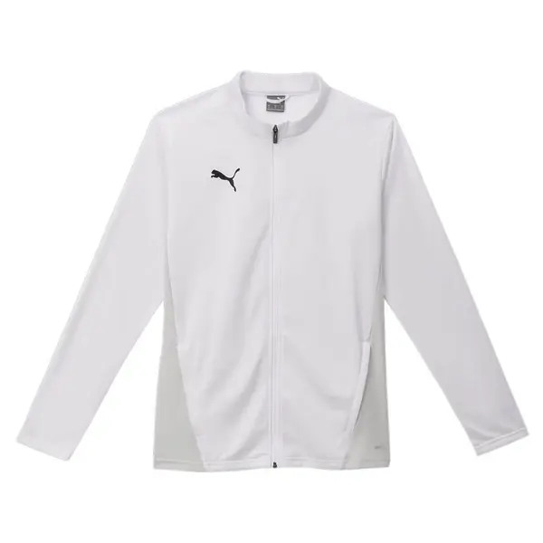 Bluza Puma teamGOAL Training - 04 White, L