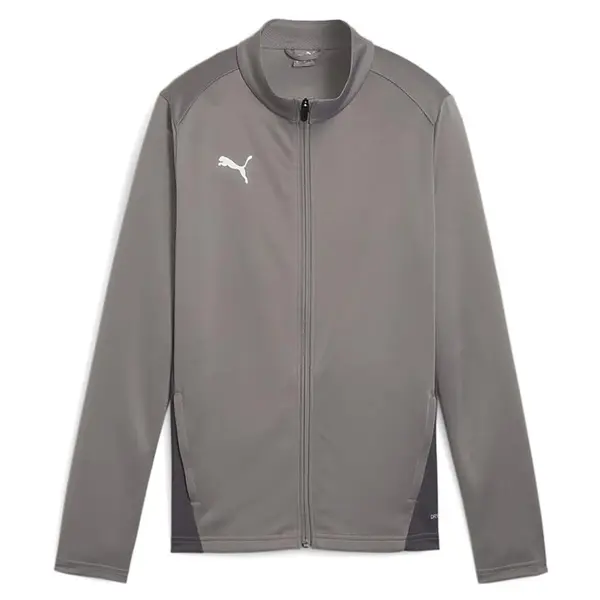 Bluza Puma teamGOAL Training Women - 13 Smoked Pearl, L