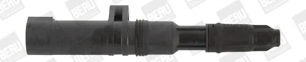 bobina de inductie BorgWarner (BERU) ZS052