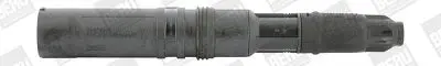bobina de inductie BorgWarner (BERU) ZS552
