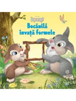 Bocanila invata formele. Iepurasi/***