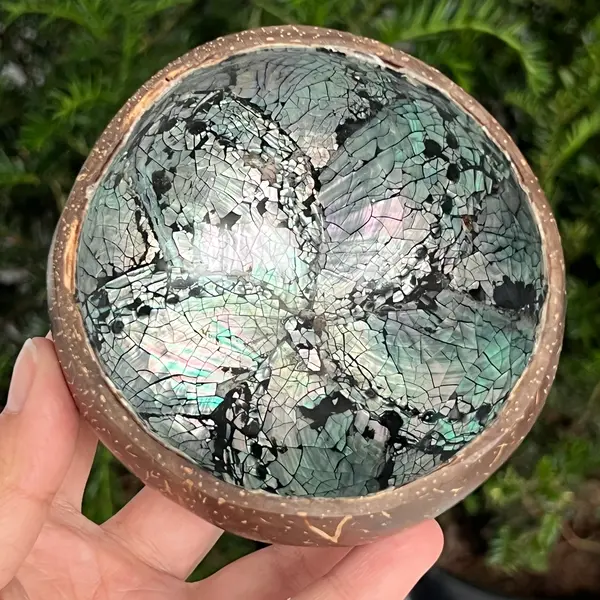Bol scoica abalone și cocos | Rainbow 2