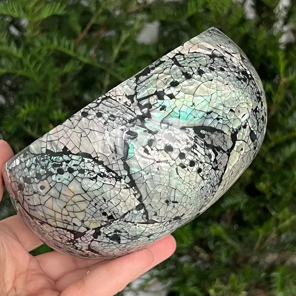 Bol scoica abalone și cocos | Rainbow