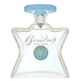 Bond No. 9 Riverside Drive Eau de Parfum bărbați 100 ml