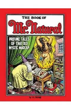 Book of Mr. Natural - R. Crumb