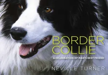 Border Collie, Hardback/Neville Turner