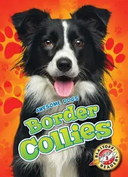 Border Collies, Hardback/Rebecca Sabelko