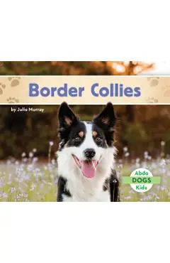 Border Collies - Julie Murray