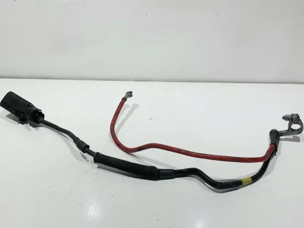 Borna baterie plus 1K0971228AA Volkswagen Passat CC (2008-2012) 1.6 tdi CAY