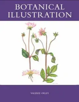 Botanical Illustration, Paperback/Valerie Oxley