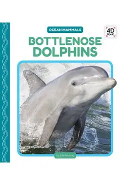 Bottlenose Dolphins - Julie Murray