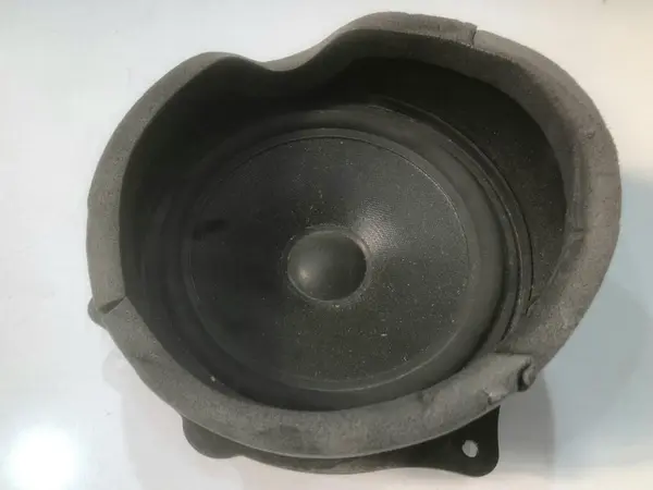 Boxa auto fata / spate 49104307 BMW X5 (1999-2006) [E53]