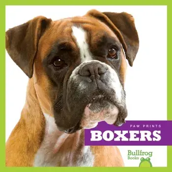 Boxers, Hardback/Nadia Higgins