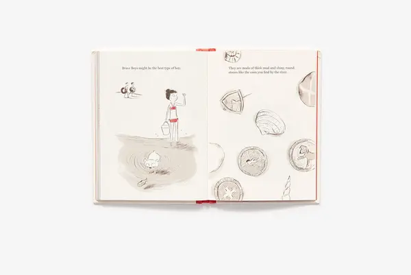 Boys - An Illustrated Field Guide | Heather Ross