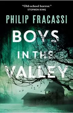 Boys in the Valley - Philip Fracassi