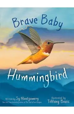 Brave Baby Hummingbird - Sy Montgomery