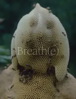 Breath(e): Toward Climate and Social Justice, Hardback/***