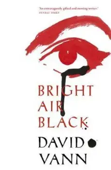 Bright Air Black, Paperback/David Vann