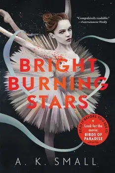 Bright Burning Stars, Paperback/A. K. Small