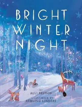 Bright Winter Night, Hardback/Alli Brydon