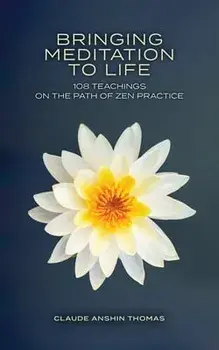 Bringing Meditation to Life: 108 Teachings on the Path of Zen Practice, Paperback/Claude Anshin Thomas