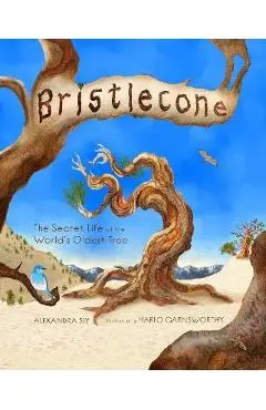 Bristlecone: The Secret Life of the World's Oldest Tree - Alexandra Siy