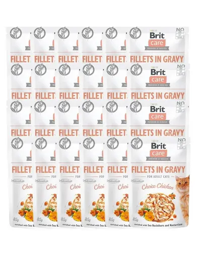 BRIT Care Cat Fillets in Gravy Mix 48 x 85 g plicuri hrană umedă pisici, fileuri în sos cu pui, curcan și somon