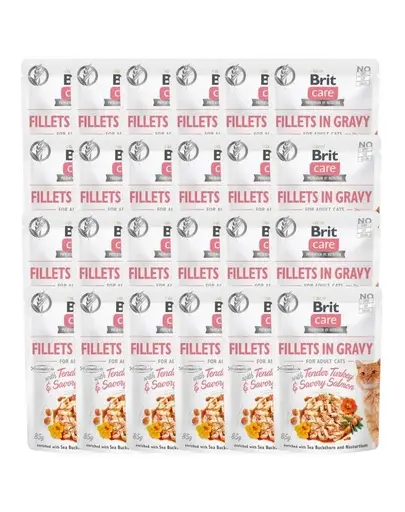 BRIT Care Fillets in gravy Hrana umeda pentru pisici adulte, cu somon si curcan in sos 24 x 85 g