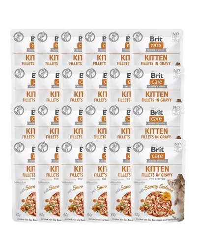 BRIT CARE Fillets in Gravy Pouch Kitten Savory Salmon 24x85g Hrana umeda pisoi, cu somon in sos