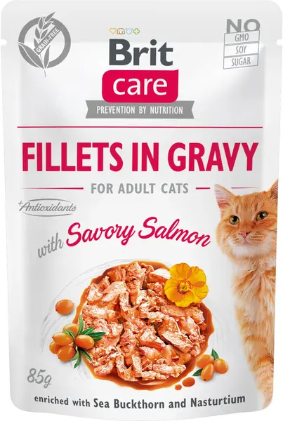 BRIT CARE Plic pentru pisici, File de somon în sos 85g