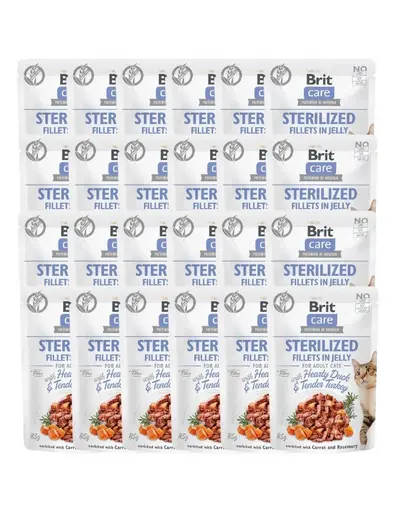 BRIT Care Sterilized Fillets in Jelly Set hrana umeda pentru pisici sterilizate, cu rata si curcan 24 x 85 g
