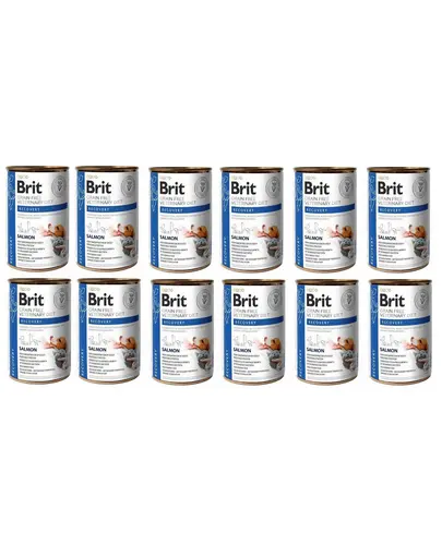 BRIT Veterinary Diet Recovery Salmon hrana dietetica pentru caini si pisici 12x400 g