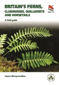 Britain's Ferns. A Field Guide to the Clubmosses, Quillworts, Horsetails and Ferns of Great Britain and Ireland, Paperback/James Merryweather