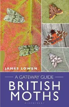 British Moths. A Gateway Guide, Spiral Bound/James Lowen
