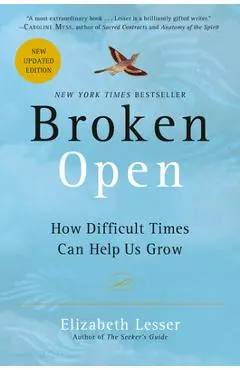 Broken Open: How Difficult Times Can Help Us Grow - Elizabeth Lesser