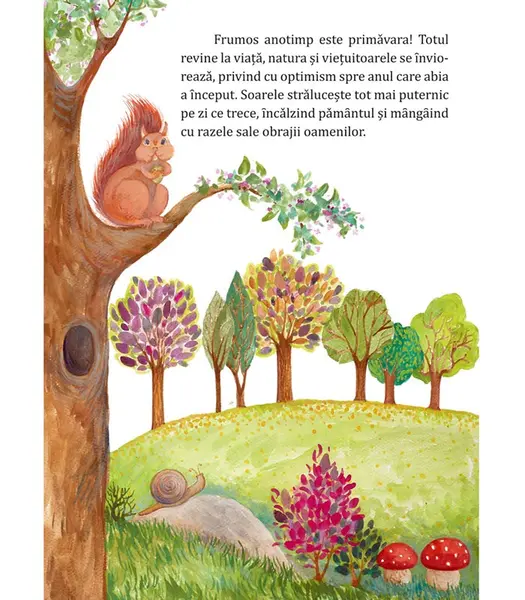 Bucuria iertarii | Cristian Bolos