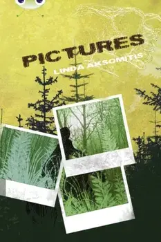 Bug Club Blue (KS2) B/4A Pictures, Paperback/Linda Aksomitis