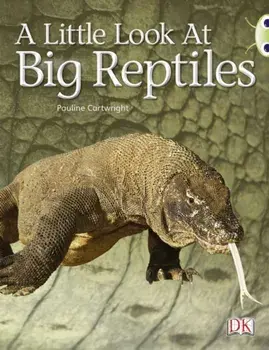 Bug Club Guided Non Fiction Year 1 Blue B A Little Look at Big Reptiles, Paperback/Pauline Cartwright
