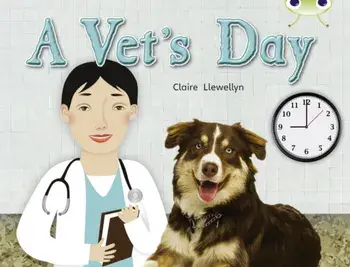Bug Club Guided Non Fiction Year 1 Green B A Vet's Day, Paperback/Claire Llewellyn