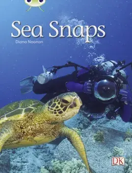 Bug Club Independent Non Fiction Year 1 Green A Sea Snaps, Paperback/Diana Noonan