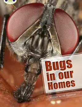 Bug Club Independent Non Fiction Year Two Lime A Bugs in our Homes, Paperback/Jill Eggleton
