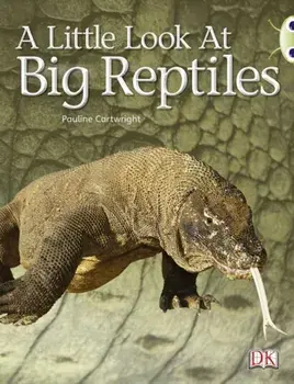Bug Club Non-fiction Blue (KS1) B/1B A Little Look of Reptiles 6-pack/Pauline Cartwright